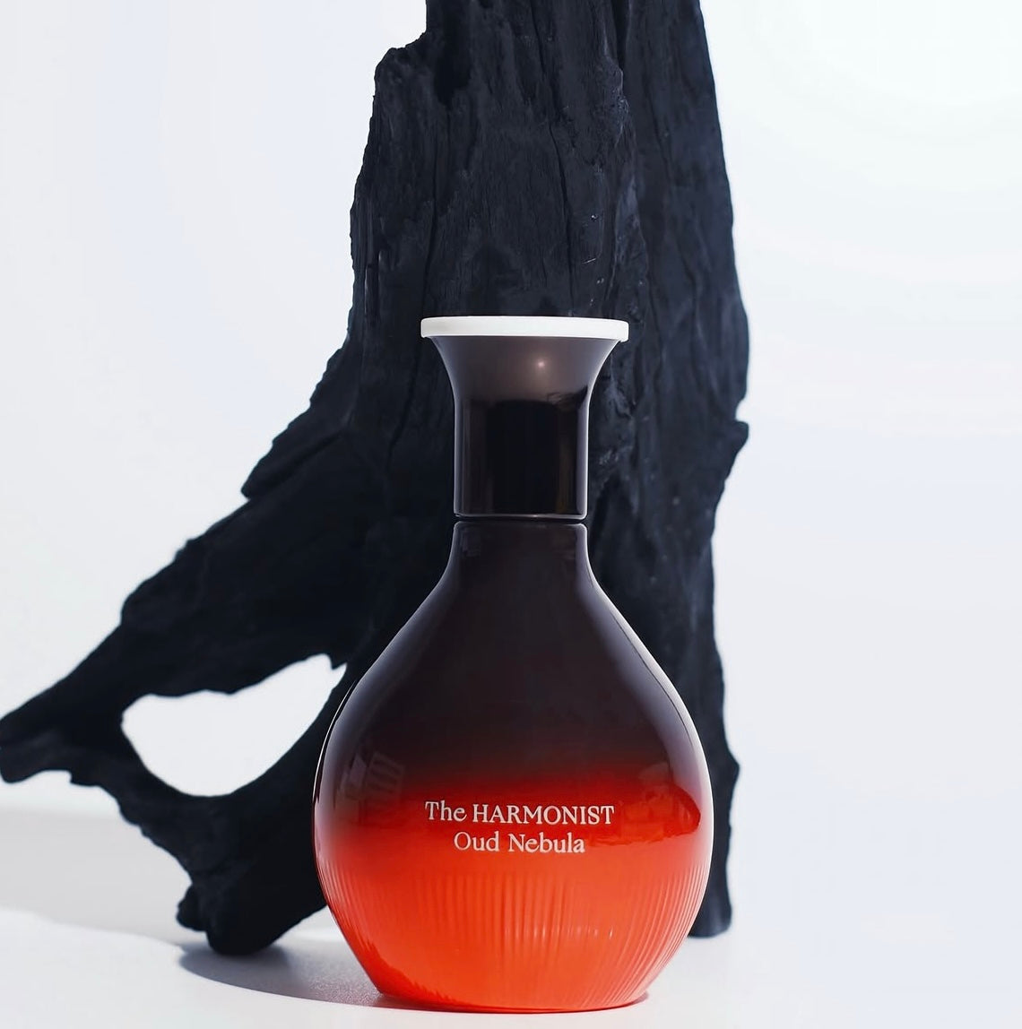 Oud Nebula
Amber, Woody, Spicy | 50ml | Parfum