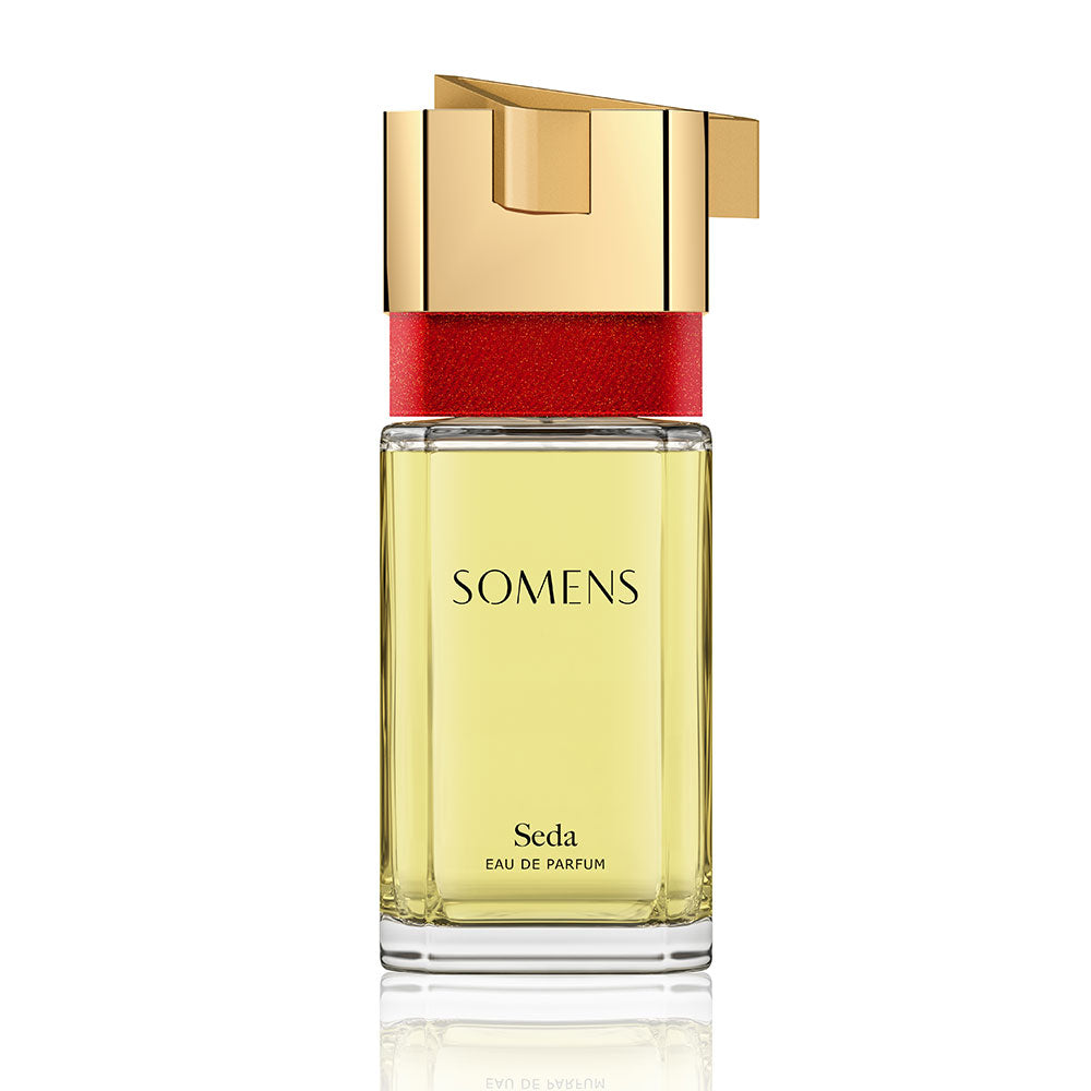 Somens Perfume Seda Presentation Eau De Parfum 100 ml 3.4 oz