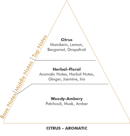 Salas Perfume Paris ANDAMENTO - Eau de parfum, Arte Collection 100 ml