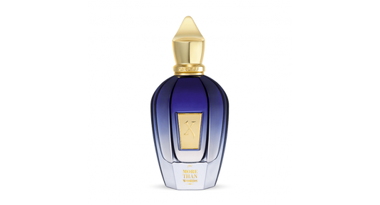 Xerjoff More Than Words 3.4 oz EDP Spray Unisex
